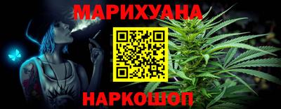 индика Моздок