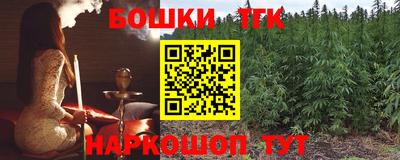 индика Моздок