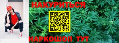 мет Можга