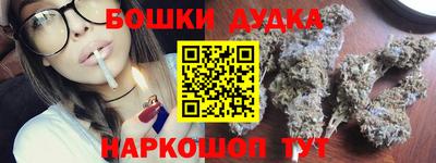 индика Моздок