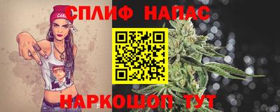 индика Моздок