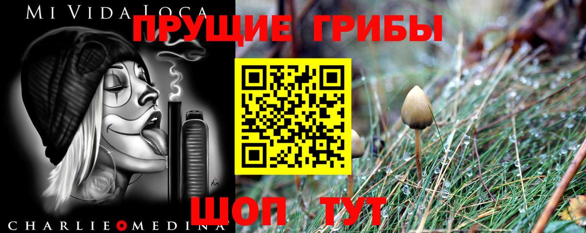 Псилоцибиновые грибы Psilocybe  купить  сайты  Будённовск  Галлюциногенные грибы ЛСД  Вход с VPN 